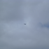 2012-04-04_12.50.58